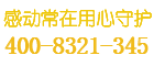 泰力保险柜